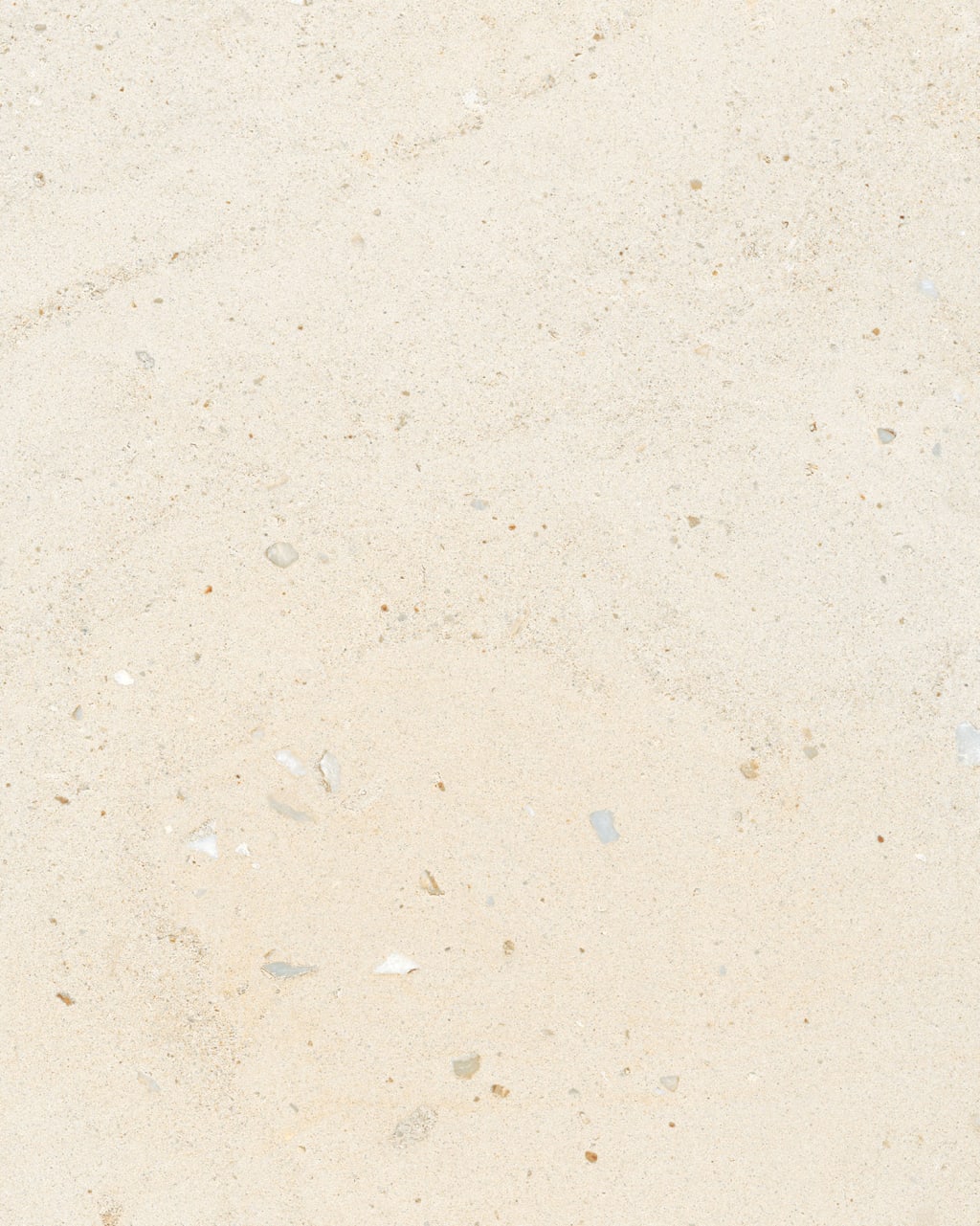 Palazzo Ivory Porcelain