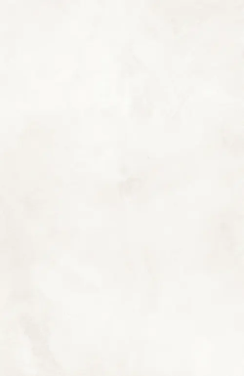 Avion Fog Porcelain Tiles