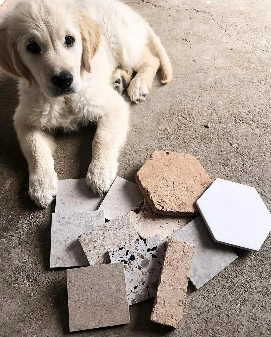Who is helping narrow down tile choices today for you? ❤️