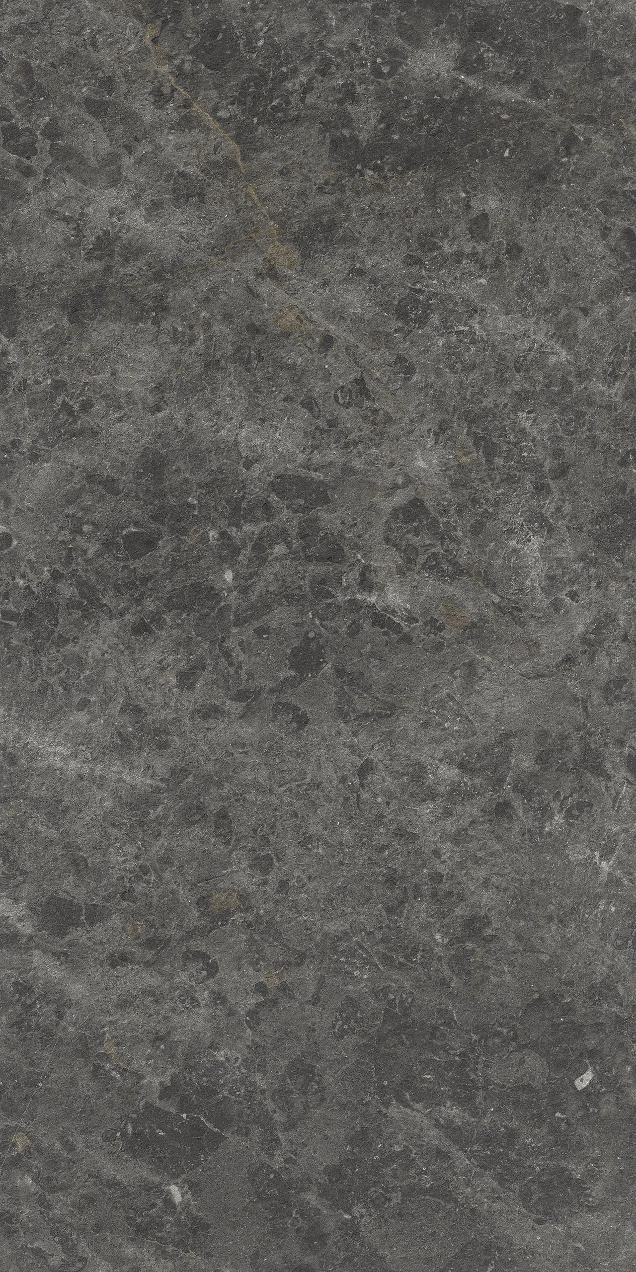 PULSAR Graphite Porcelain